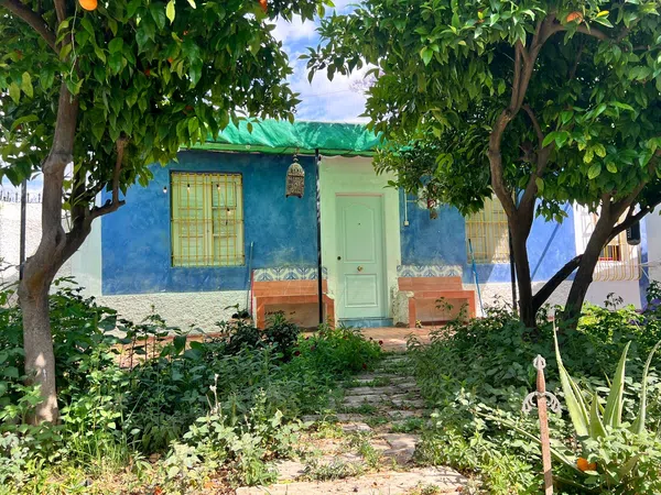 Casa o chalet independiente en Camino de las Palmeras, 4, Puebla de Soto, Murcia - Foto 1