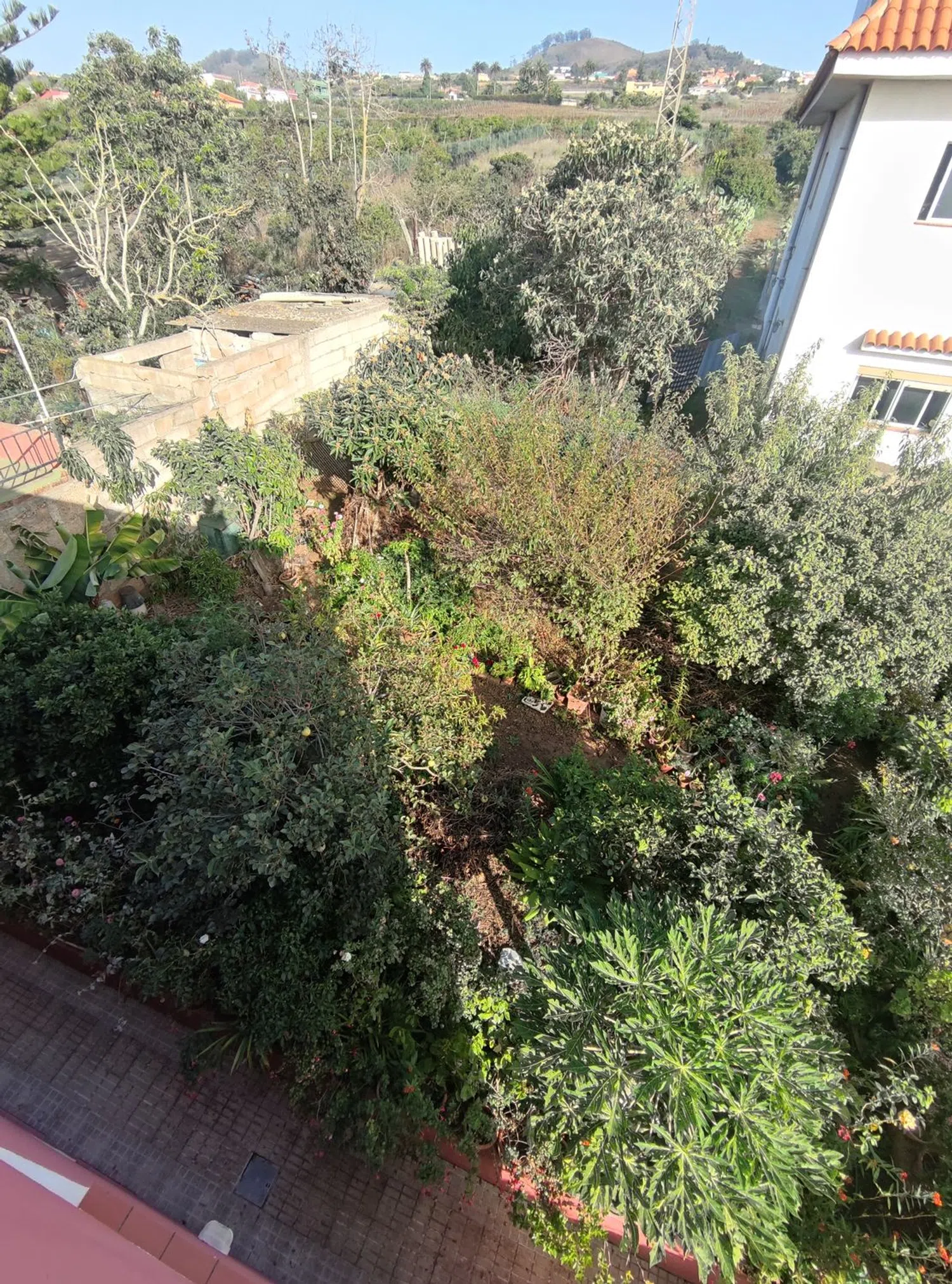 Casa independiente en carretera Tacoronte Tejina, 114 - Foto 20