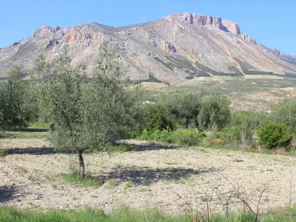 Cortijo en Calle Solana, 12 - Foto 3