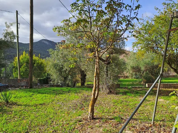 Casa de pueblo en Banyeres de Mariola - Foto 15