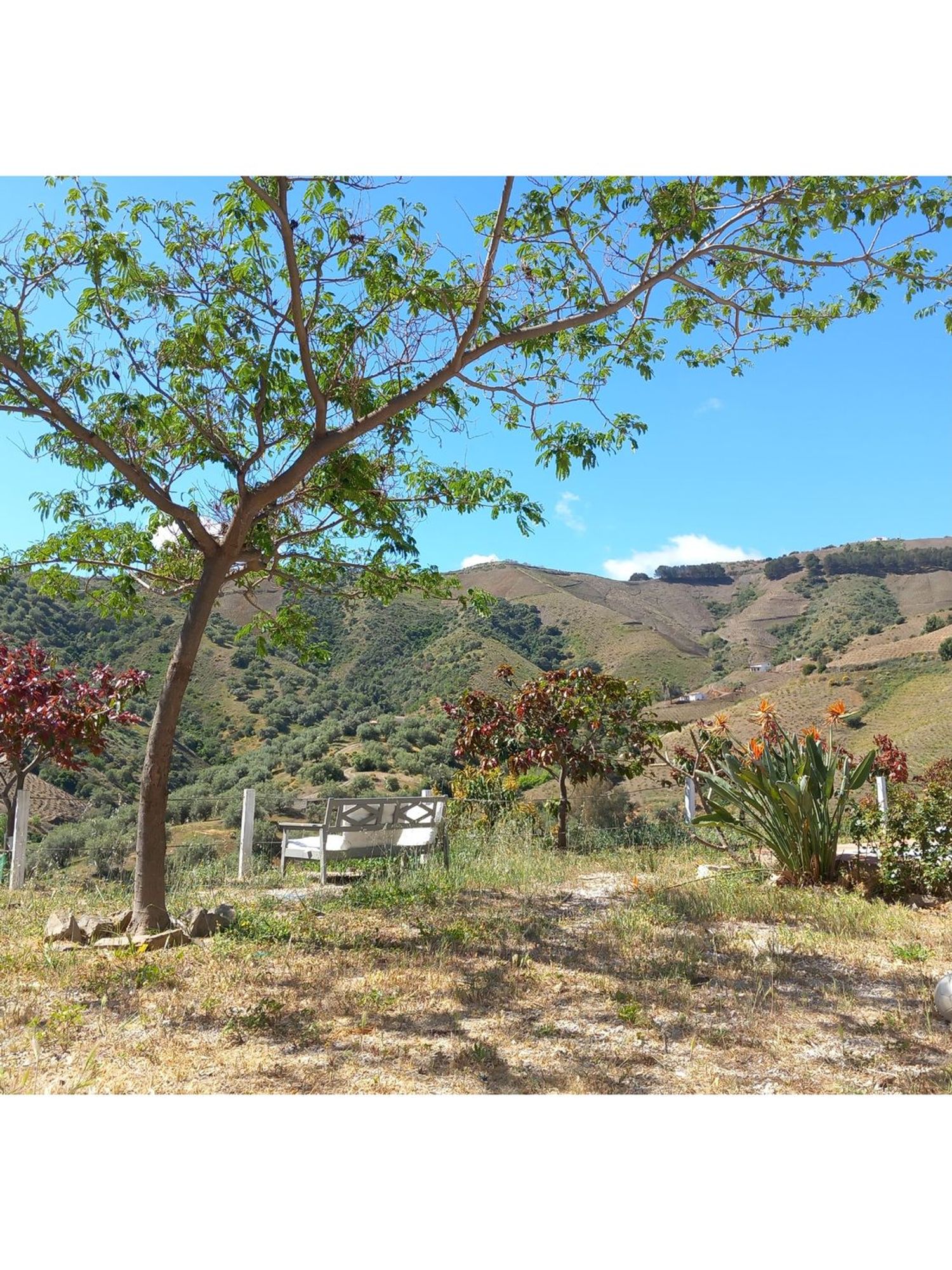 Casa rural en Camino de las Lomas de Villanueva s/n - Foto 40