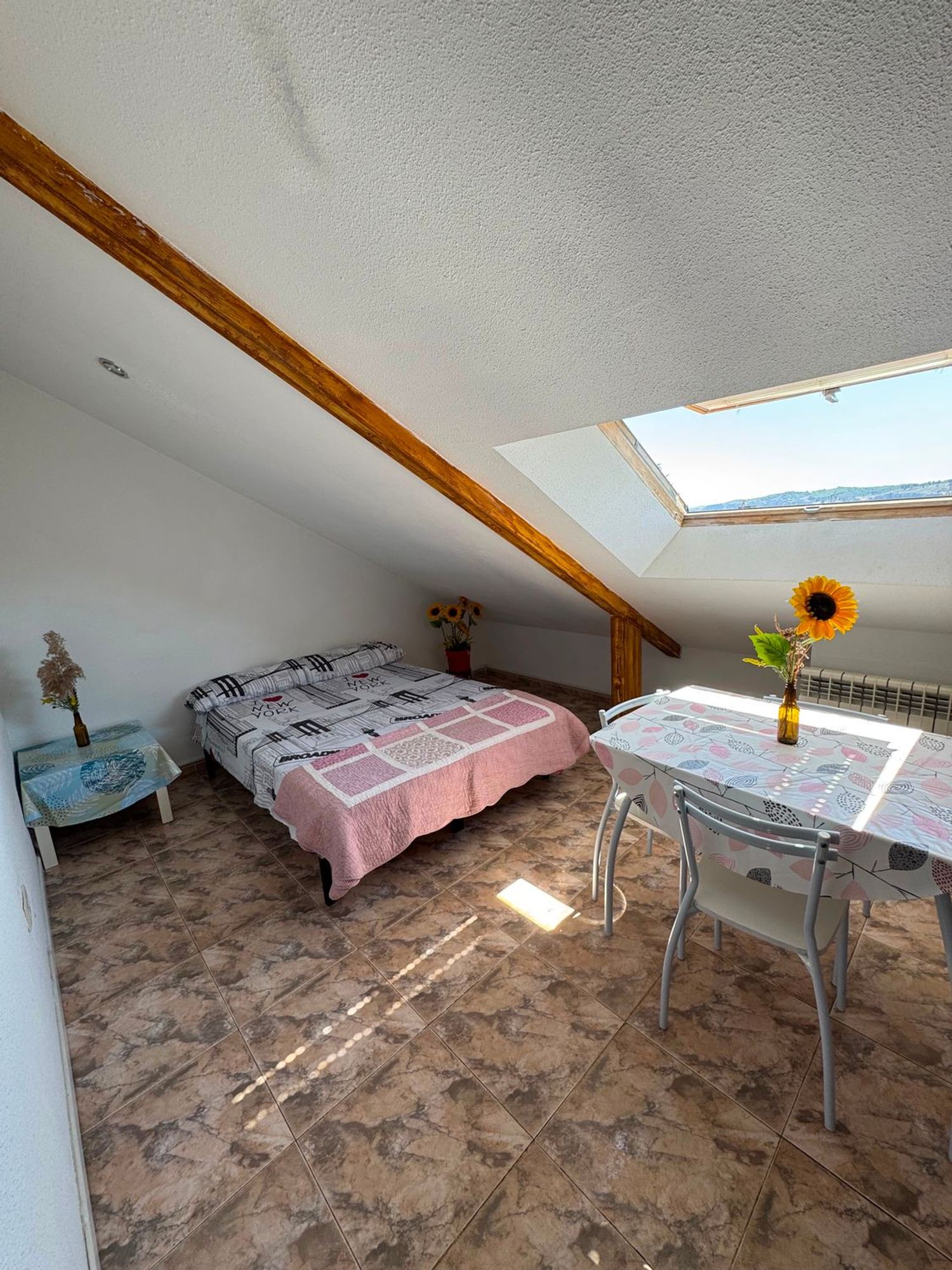 Estudio en Calle Lago Michigan, 71, Casco Histórico, Casco Histórico - Foto 11