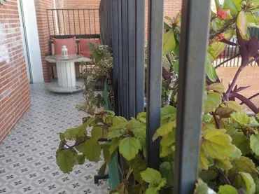 Piso en  Calle Alfonso de Orleans 3 - Foto 9