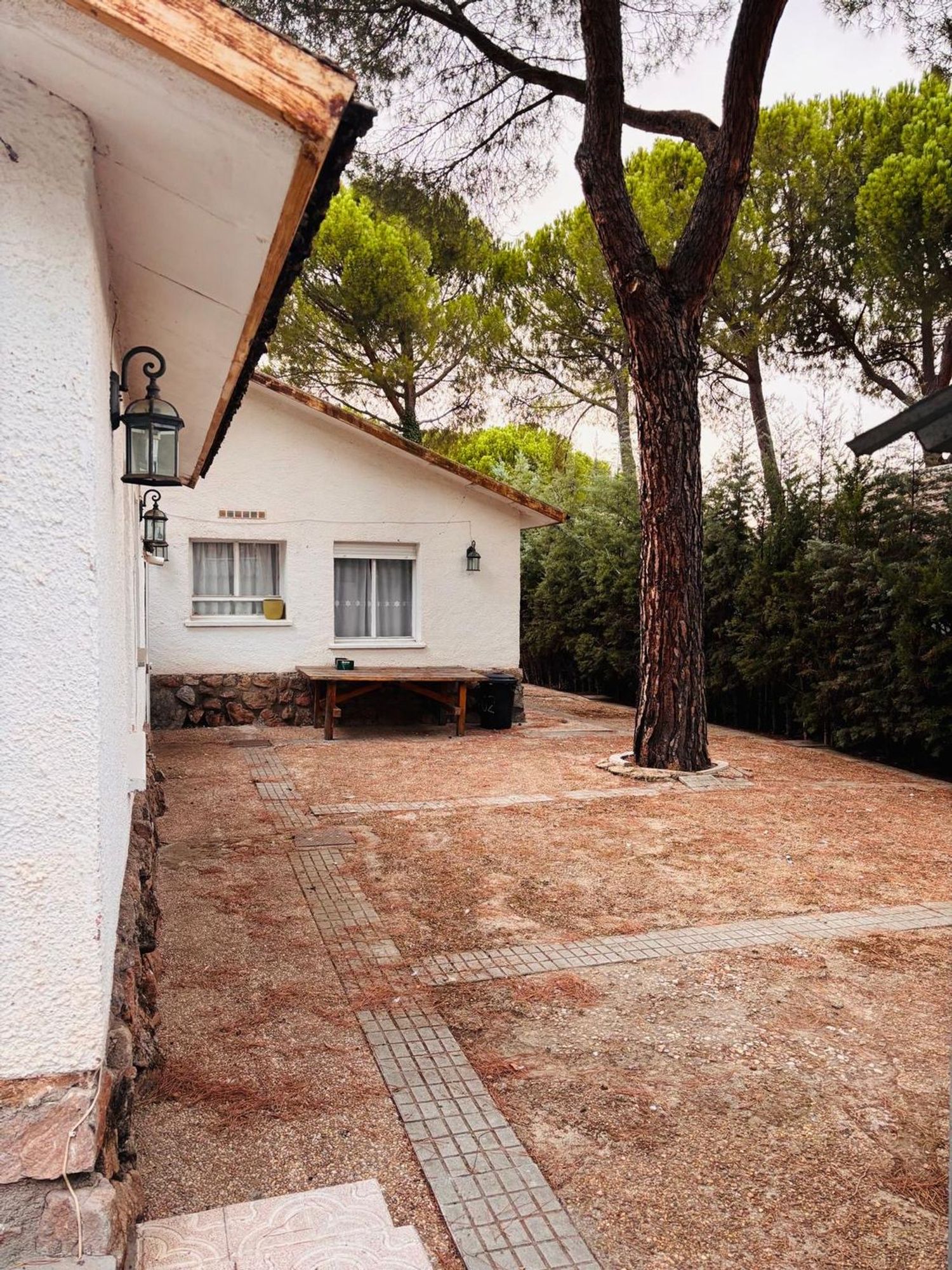 Casa o chalet independiente en Calle del Roble, 43 - Foto 13