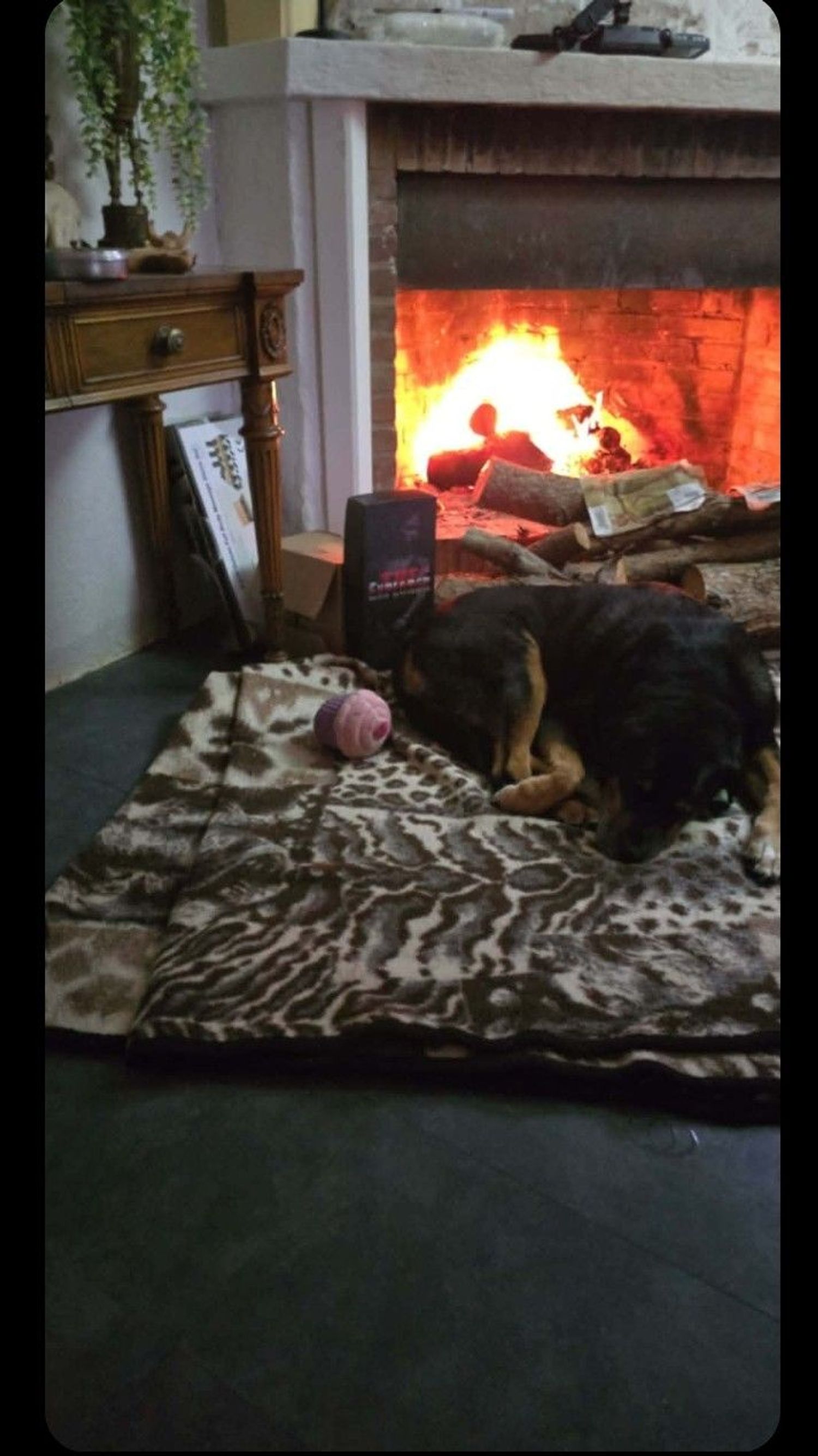 Finca rústica en Ca-3109 s/n - Foto 5