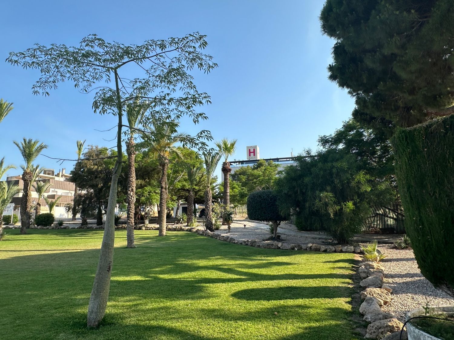 Ático en Calle Ruidera, 3, Los Balcones - Los Altos del Edén - Foto 29