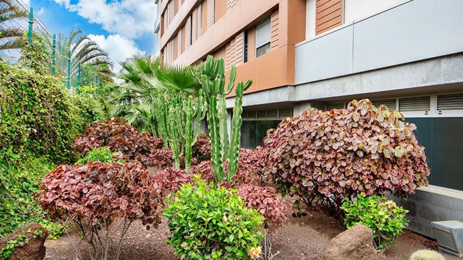 Piso en Calle Camelia, 19, Siete Palmas - Foto 4