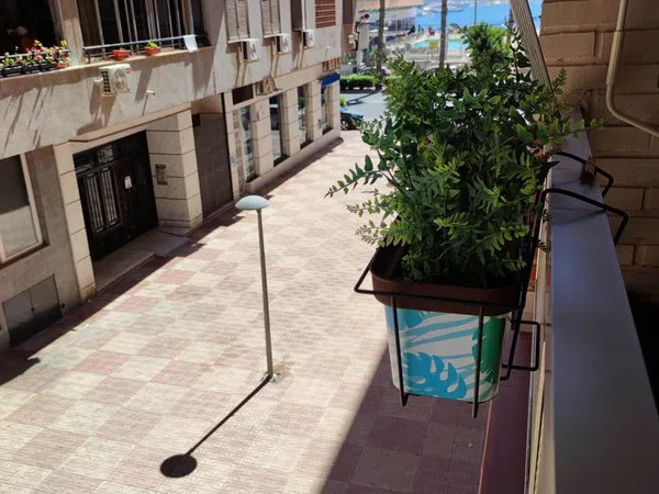Piso en Travesía San Miguel de Salinas, 4, El Acequión - Foto 15