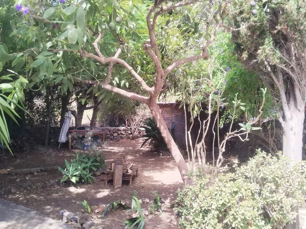 Finca rústica en Carretera Enlace el Ramal, 18 L, Centro, Centro - Foto 12