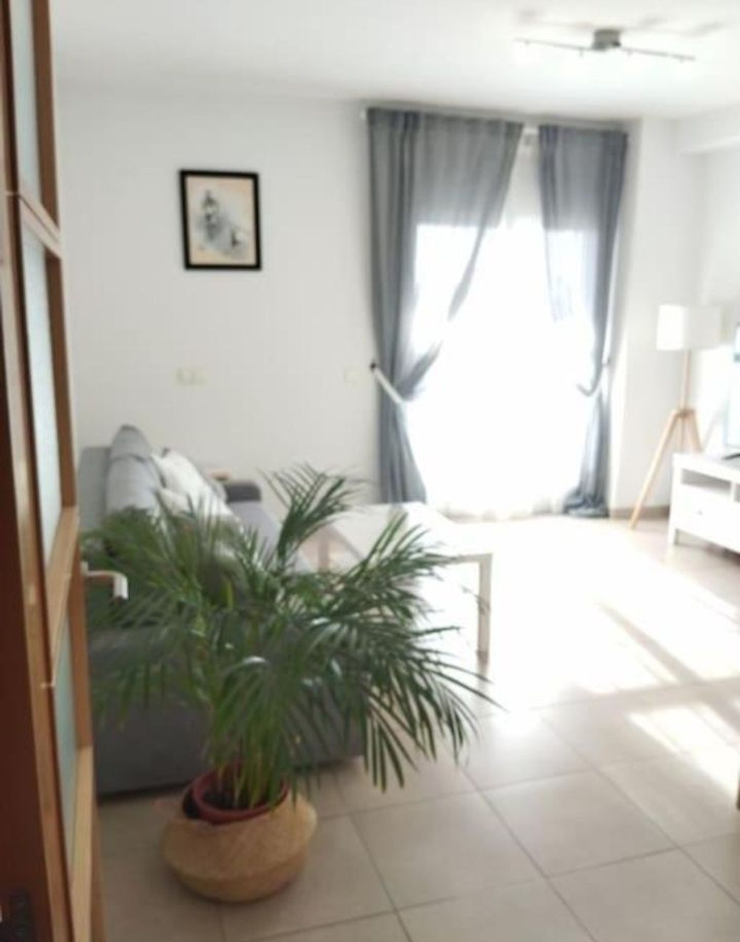 Piso en Avenida de la Constitución, 19, Monteolivete-Camino Sevilla, Monteolivete-Camino Sevilla - Foto 4