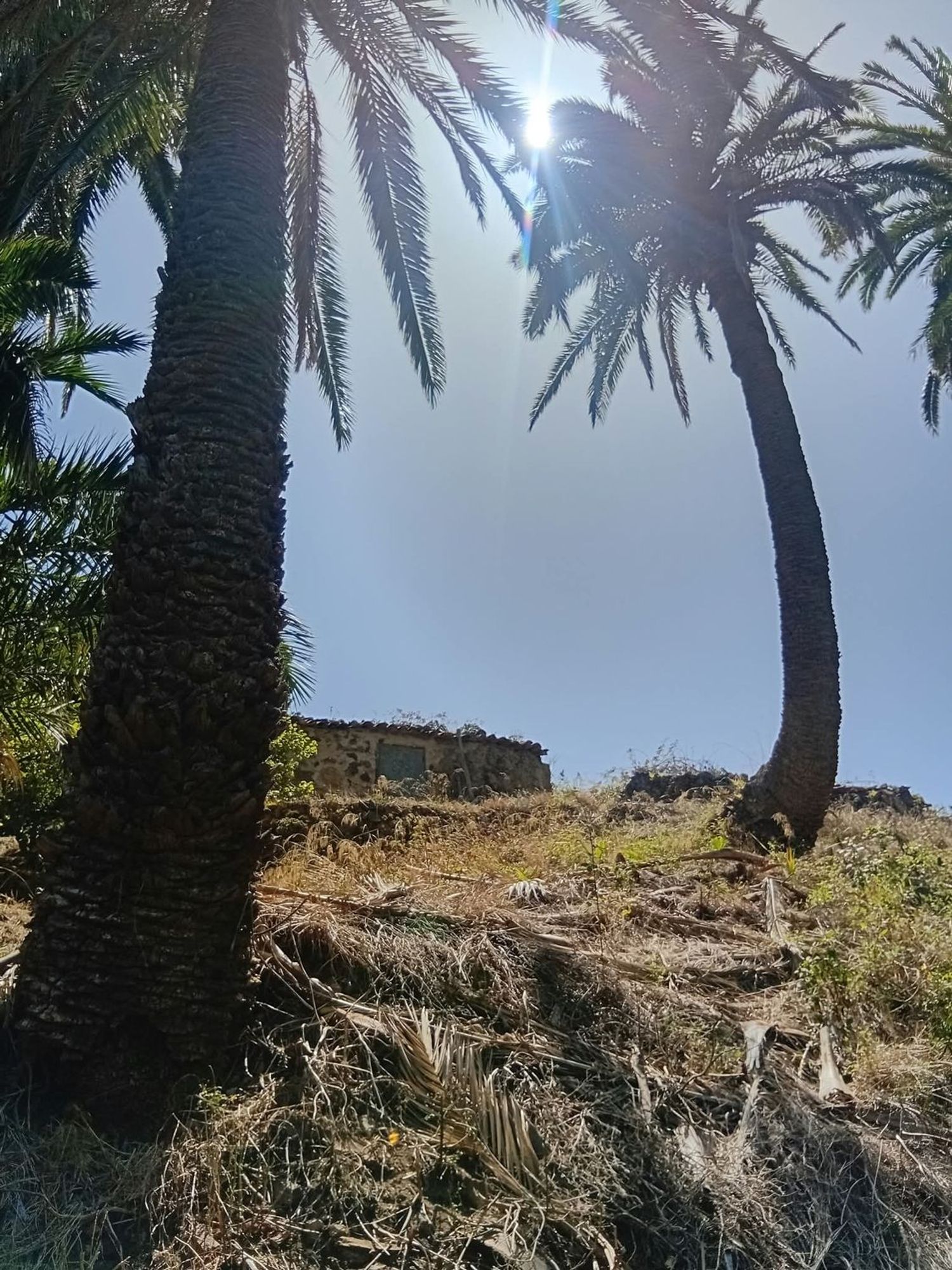 Casa de pueblo en Calle Banda de las Rosas s/n - Foto 37