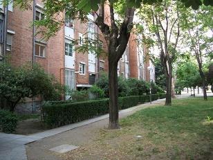 Piso en Calle Ribera del Manzanares, 33 - Foto 6