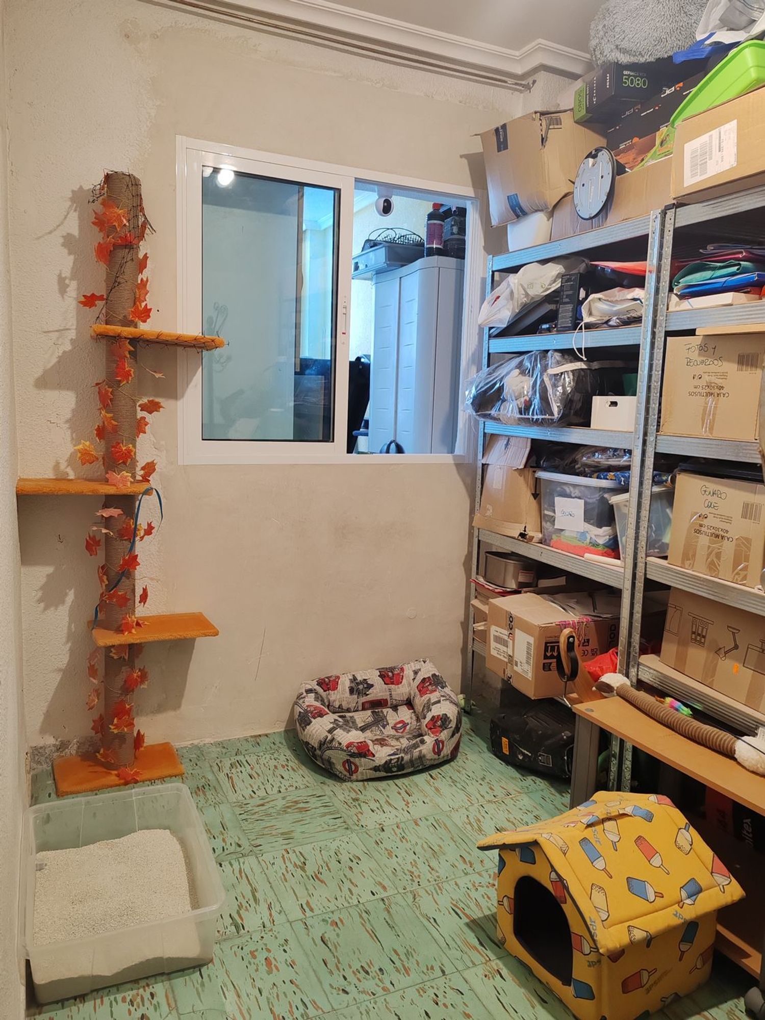 Piso en Calle Pascual Sempere Mogica, 1, Los Magros-Casablanca - Foto 23