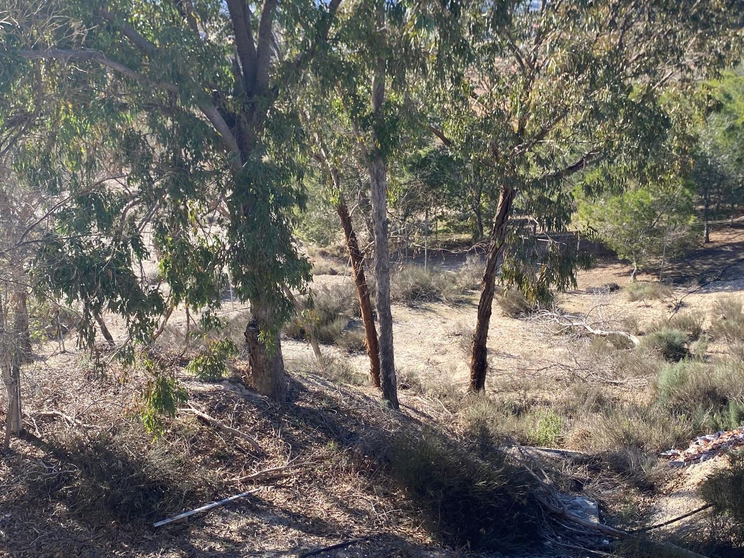 Casa independiente en camino de José Antonio Arnaldos s/n - Foto 33