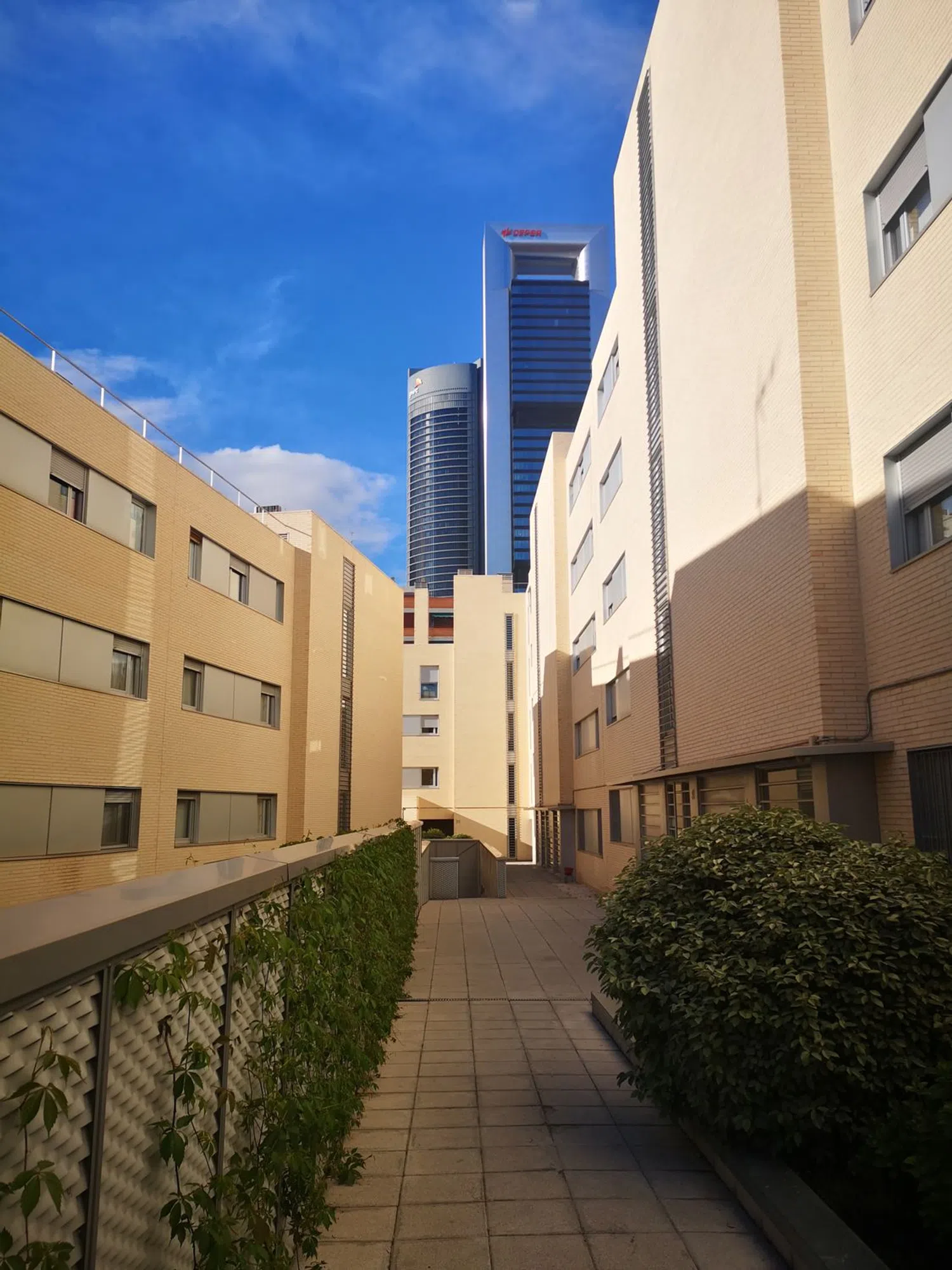 Piso en calle Cedros, 112 - Foto 2