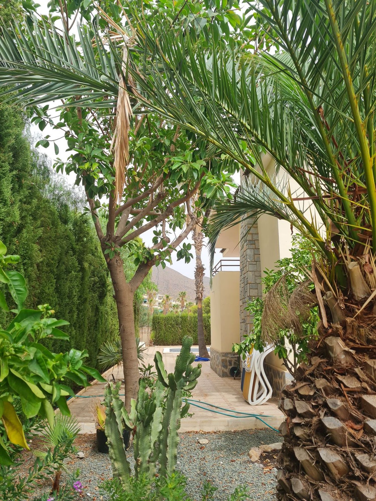 Casa o chalet independiente en Avenida Oeste, 28, La Azohía - Foto 10