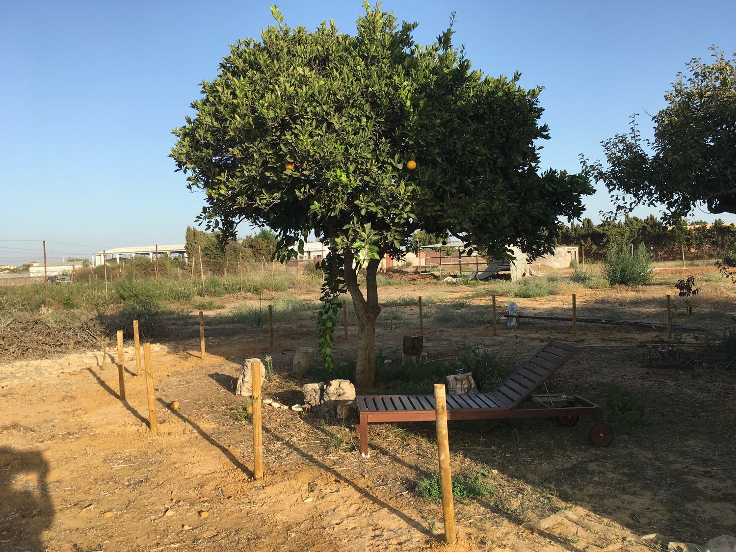 Finca rústica en Camino de la Jara s/n, La Jara, La Jara - Foto 7