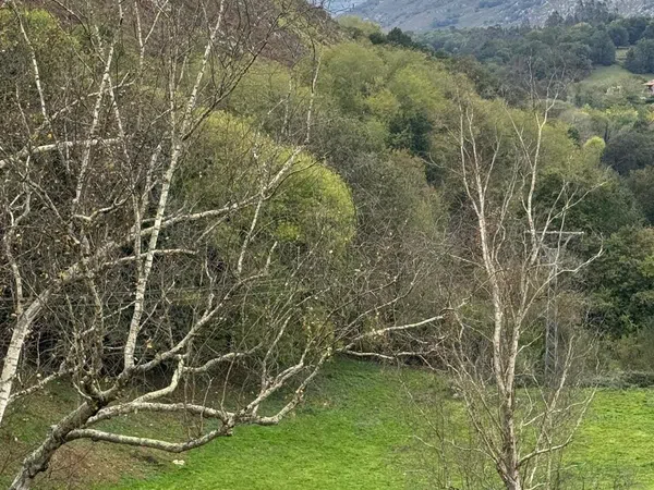 Casa rural en Pista de Riclones s/n - Foto 10
