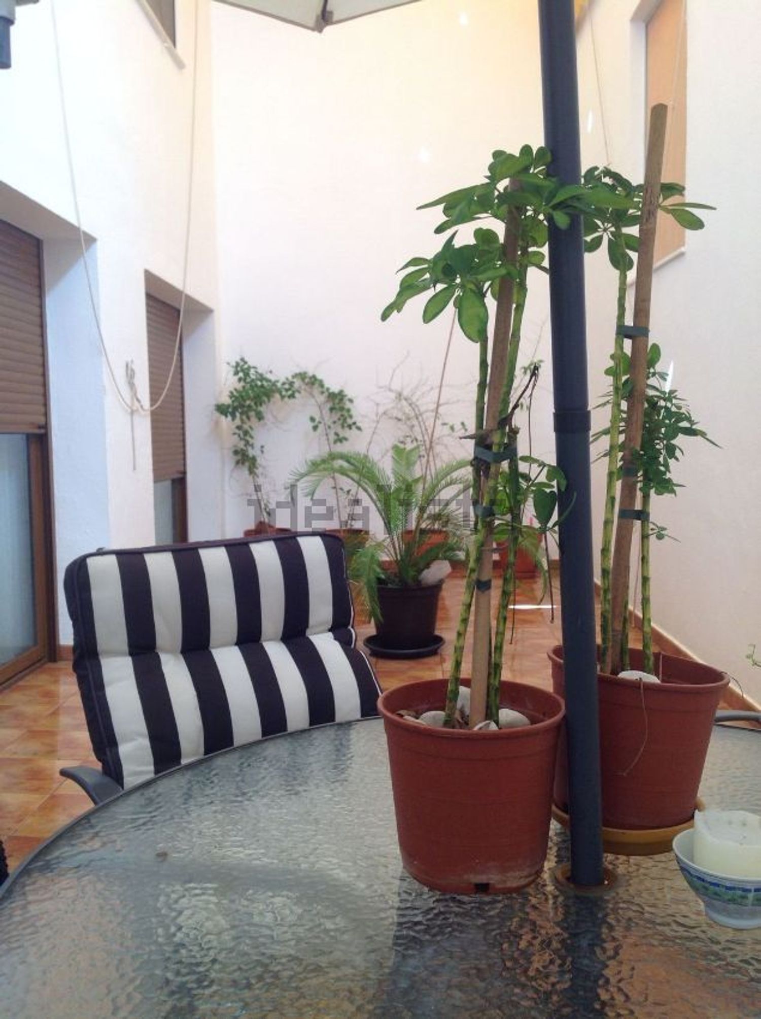 Casa o chalet independiente en Almagro - Foto 7