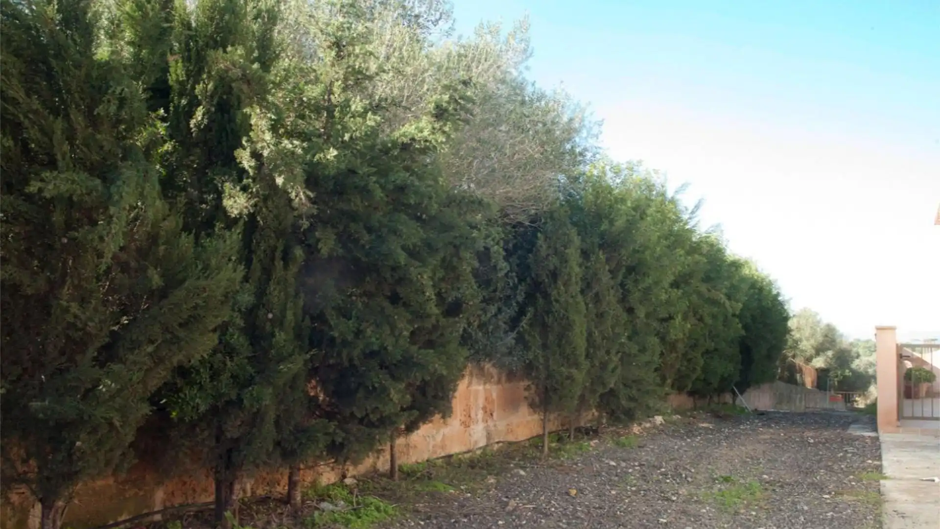 Finca rústica en  Diseminado 8725- Sa Casa Blanca 363 - Foto 12