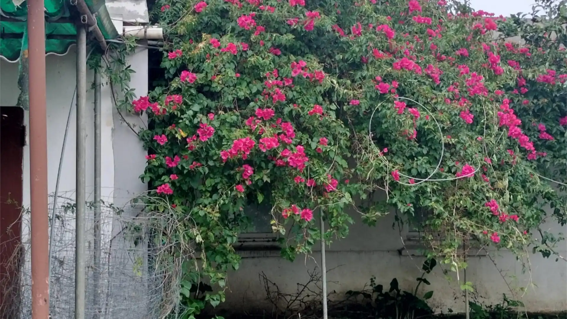 Chalet en  Rúa Revolta 18 - Foto 7