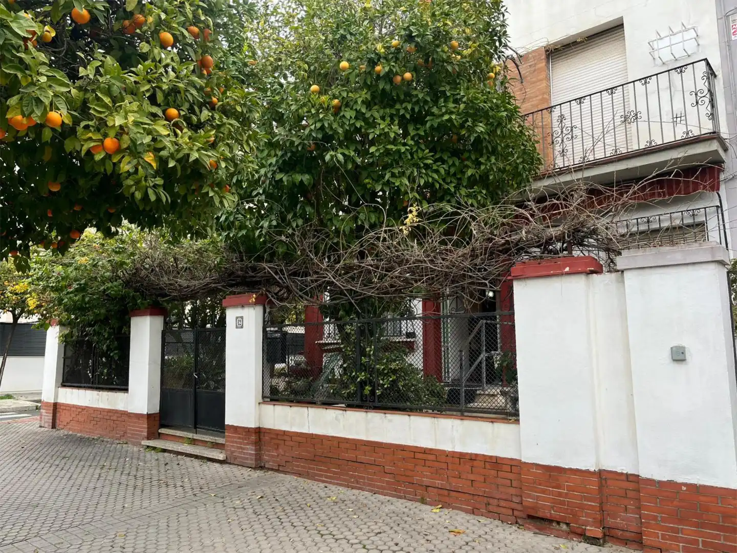 Planta baja en  Calle Manuel Ramón Alarcón 23 - Foto 4