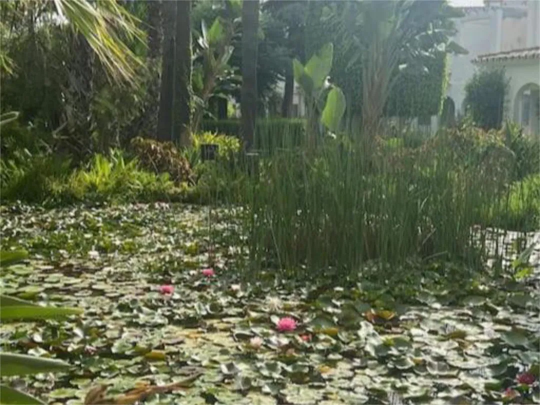 Piso en  Calle Bélgica 4 - Foto 8