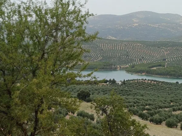 Cortijo en Cortijo en Unnamed Road s/n - Foto 12