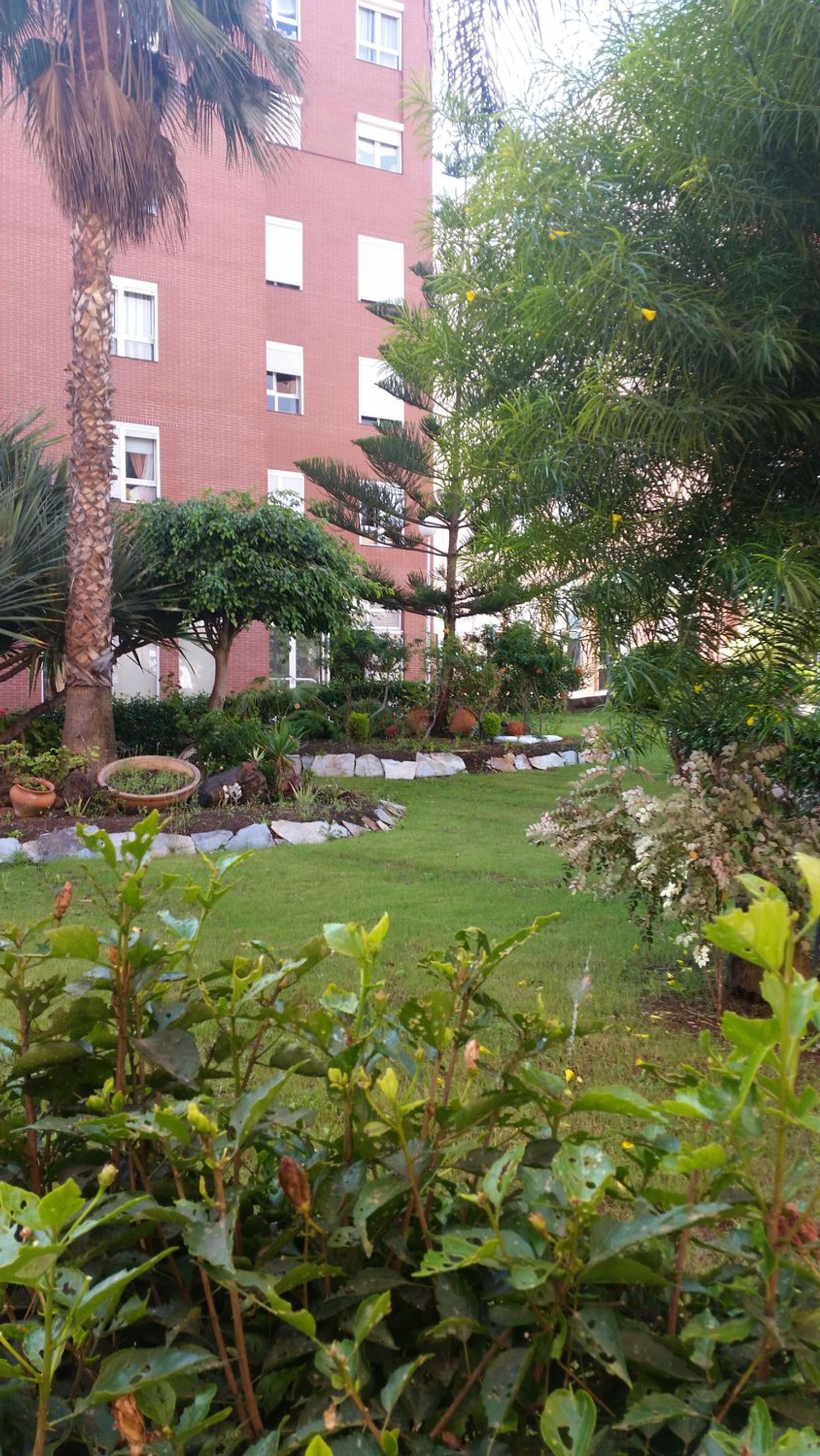 Dúplex en Calle Concejal García Feo, 8 - Foto 31