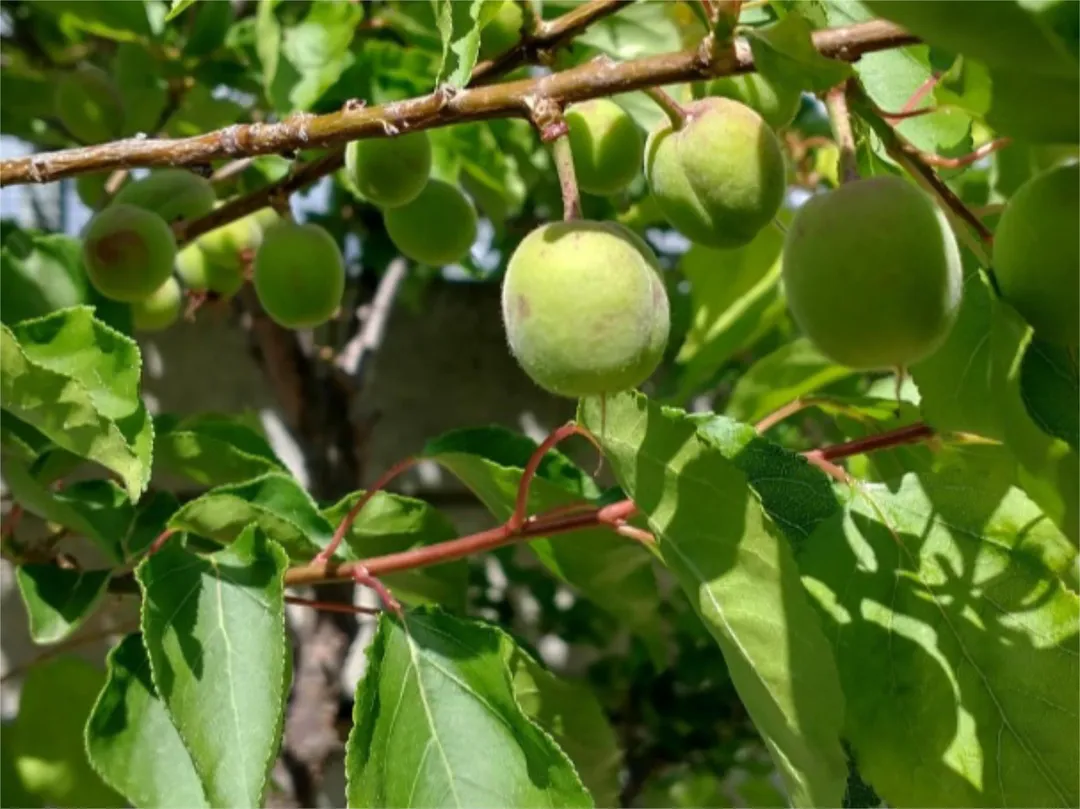 Chalet en  Calle las Buganvillas 27 - Foto 56