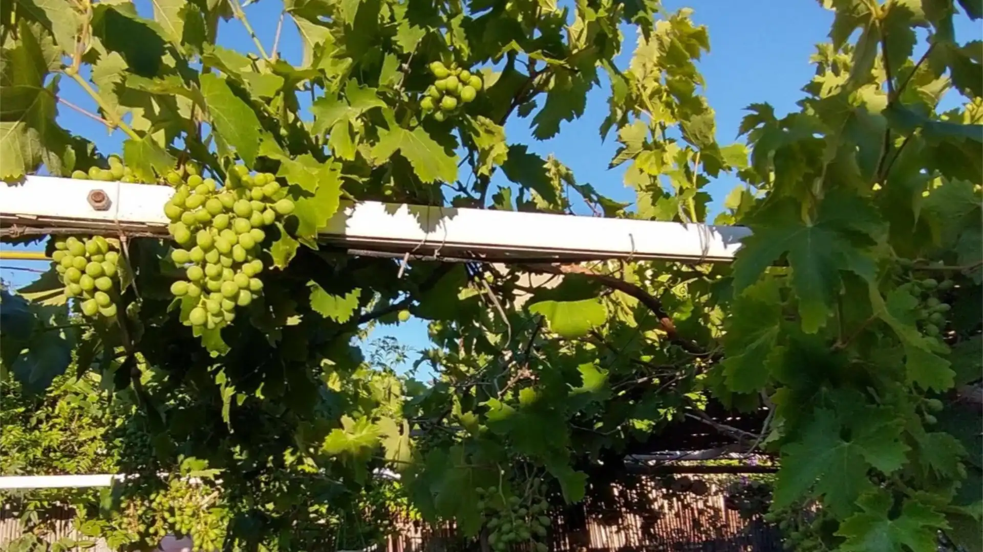 Chalet en  Calle las Buganvillas 27 - Foto 12