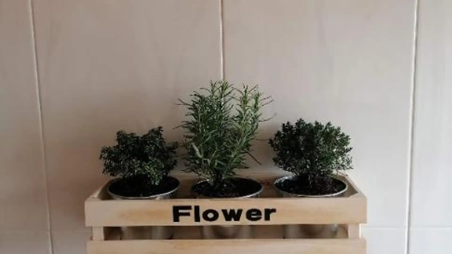 Piso en  AC-841 44 - Foto 13