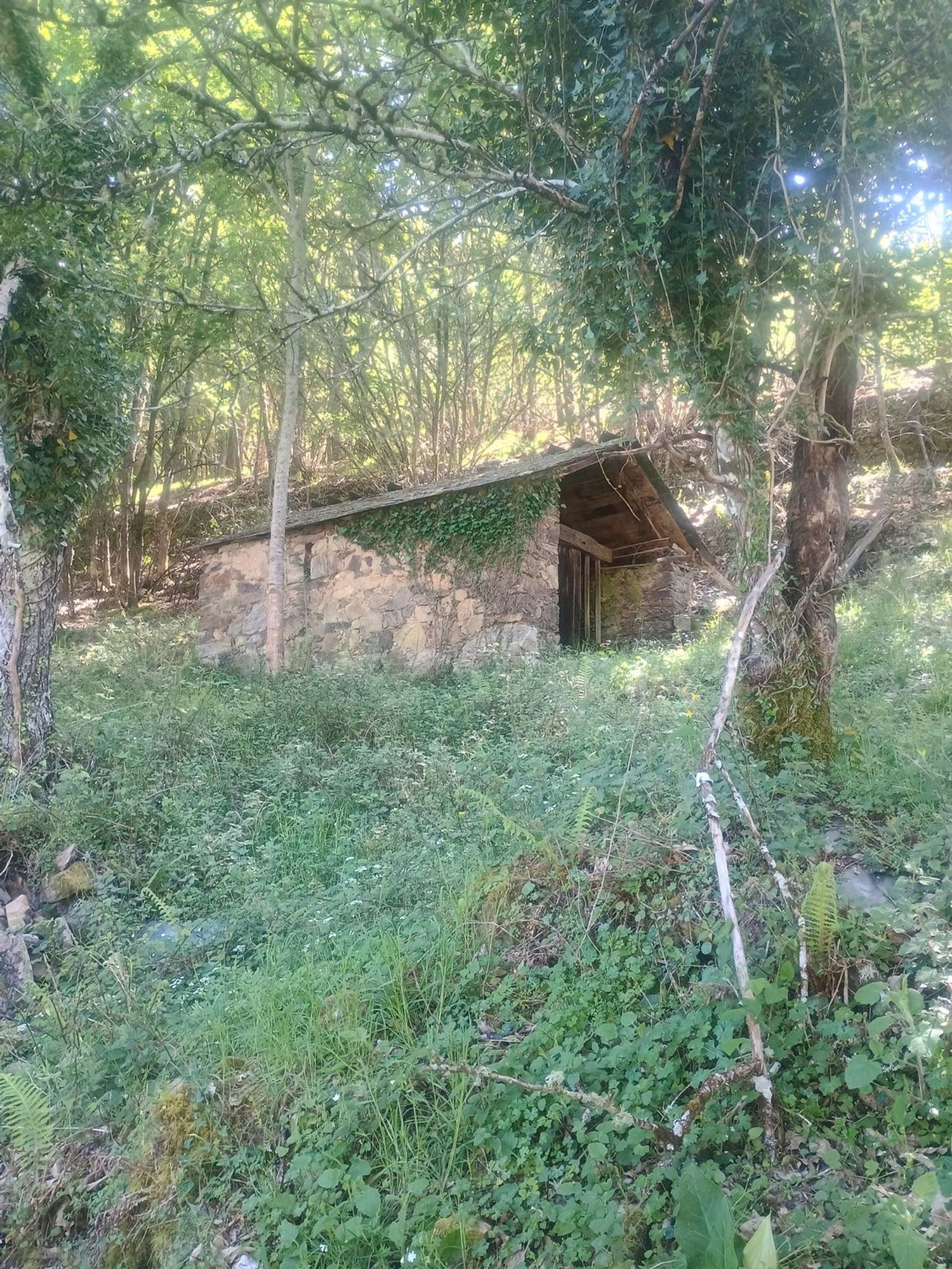Casa de pueblo en Aldea Barca, 3 a - Foto 32