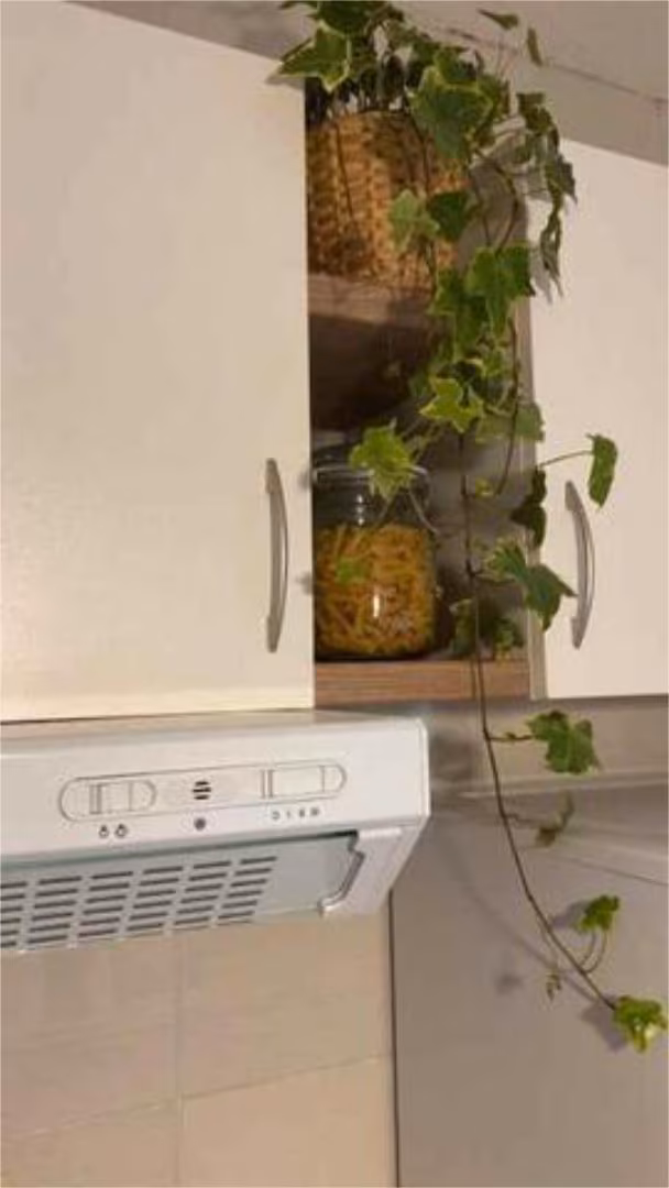 Piso en Malasaña - Foto 8