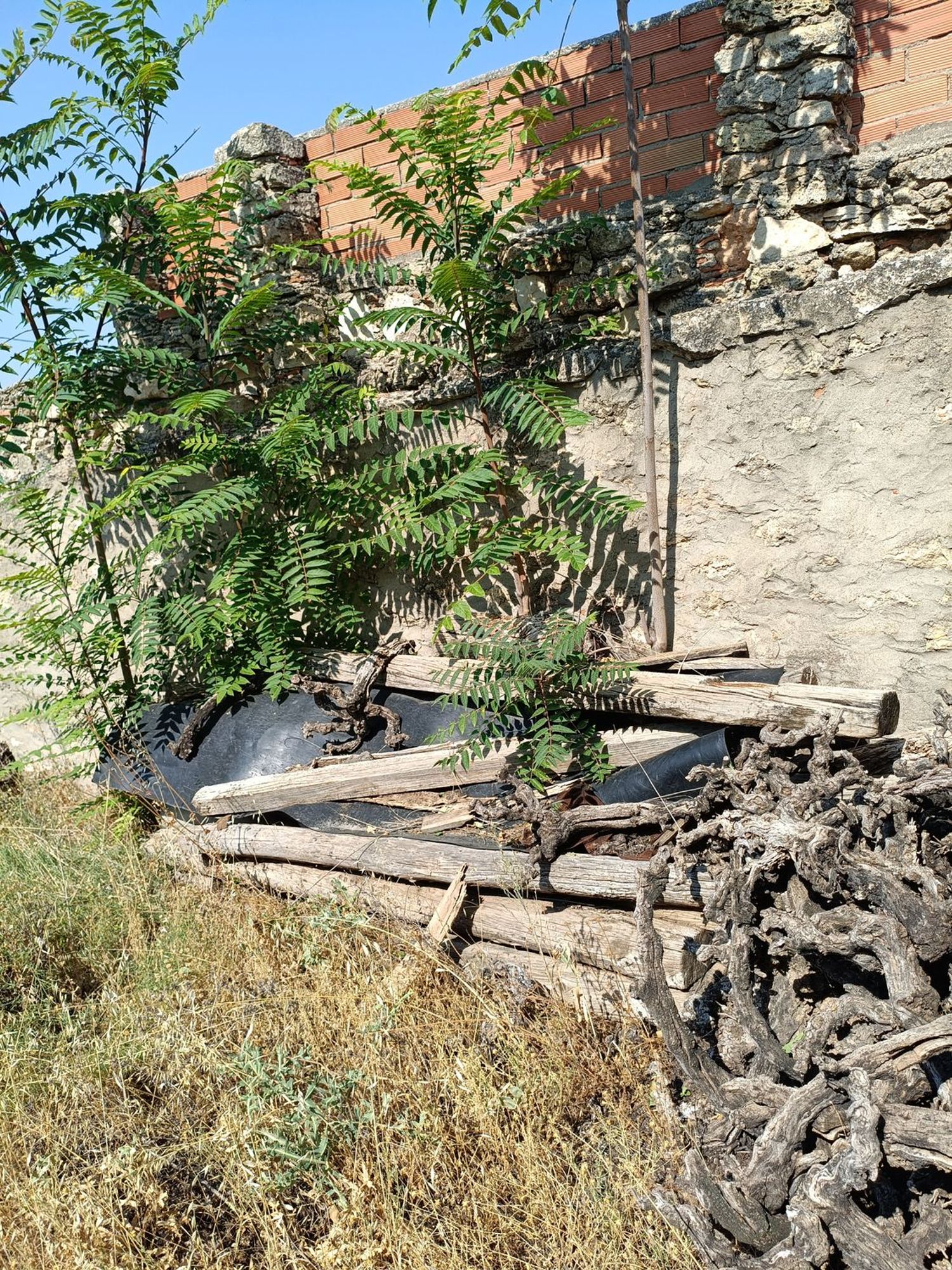 Casa terrera en Paraje Las Fuentes s/n - Foto 8