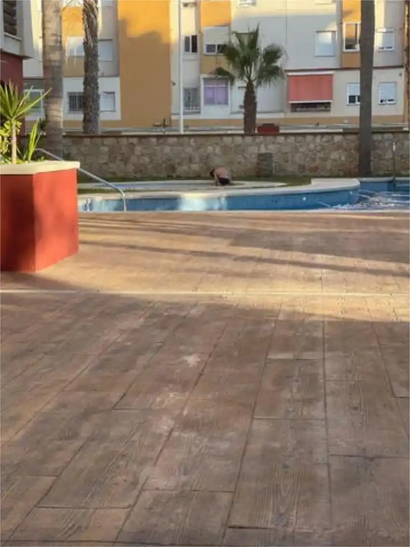 Piso en Playa Poniente - Foto 9
