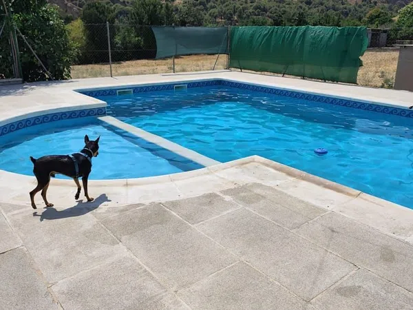 Casa independiente en carretera de la Sierra, 180 - Foto 6