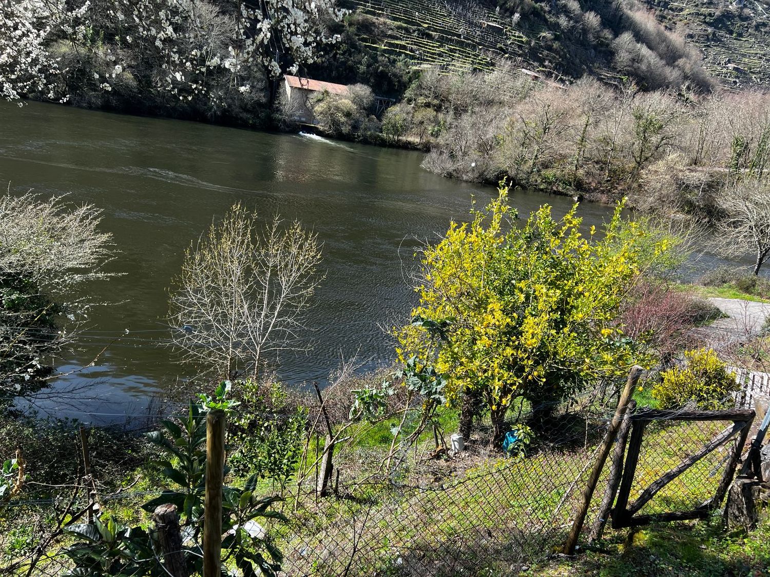 Finca rústica en Belesar s/n - Foto 10