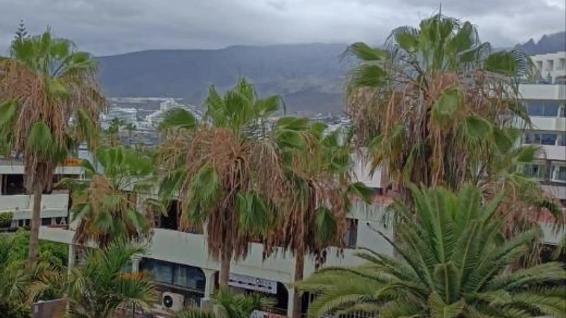 Piso en  Avenida Rafael Puig Lluvina 32 - Foto 15