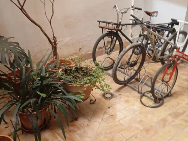 Piso en Divina Enfermera, 14, Alameda - Foto 14