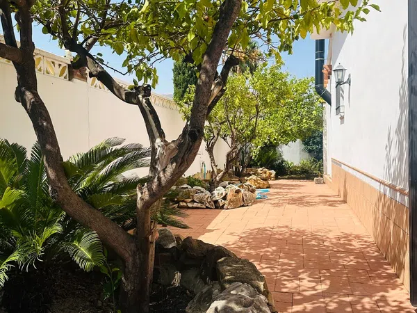 Casa o chalet independiente en Avenida de Miguel Lacha Reina, 1, Pinos de Alhaurín, Pinos de Alhaurín - Foto 38
