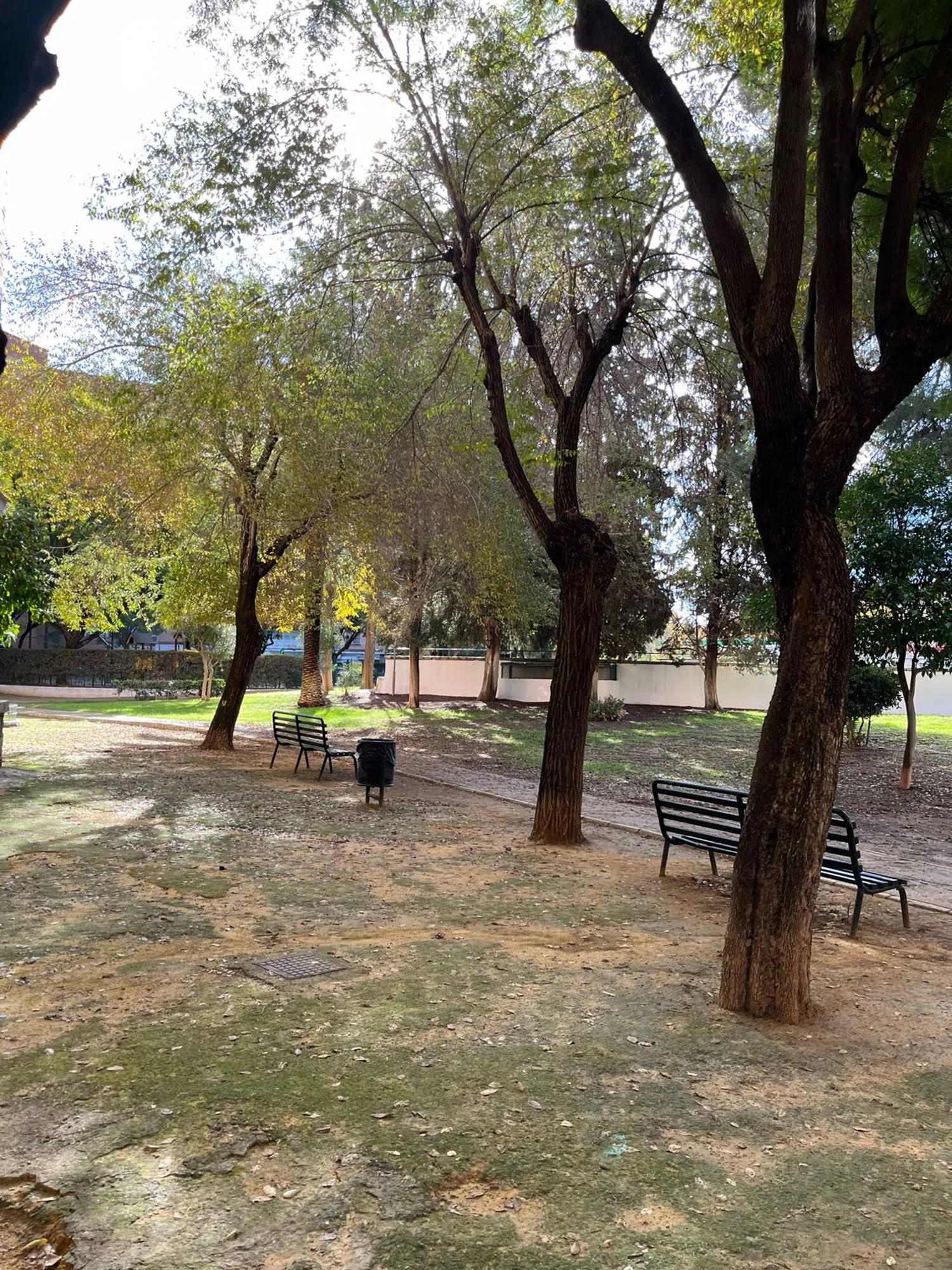 Piso en avenida Manuel Siurot, 3 - Foto 37