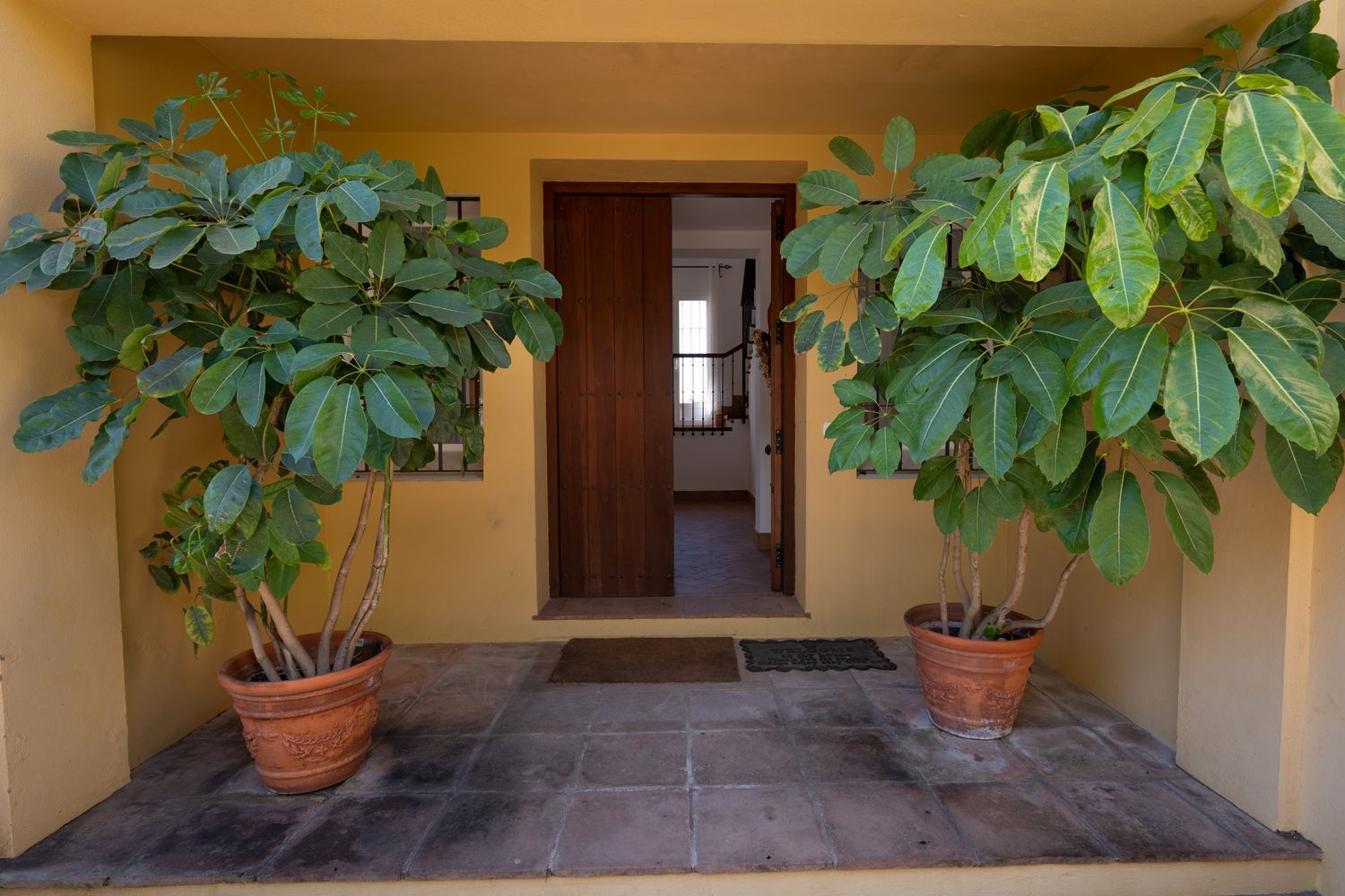 Casa o chalet independiente en Alto, 1, Sotogrande Costa, Sotogrande Costa - Foto 14