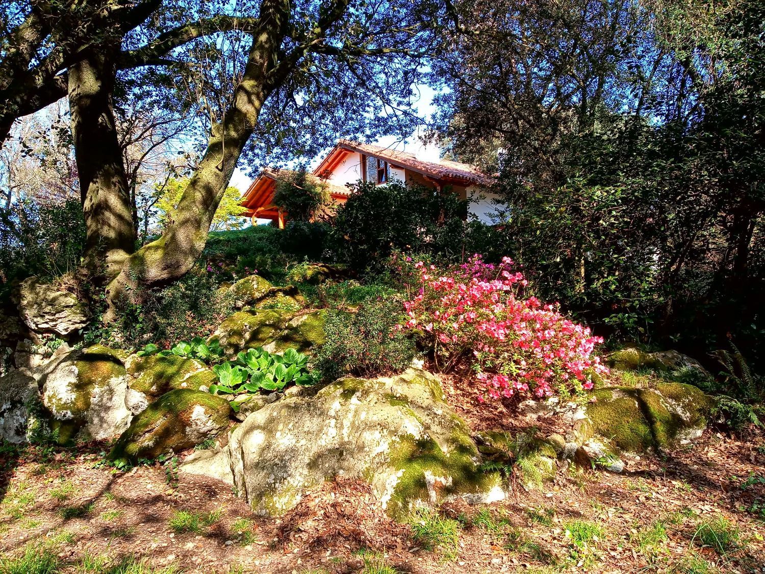 Casa o chalet independiente en Villanueva - Foto 7