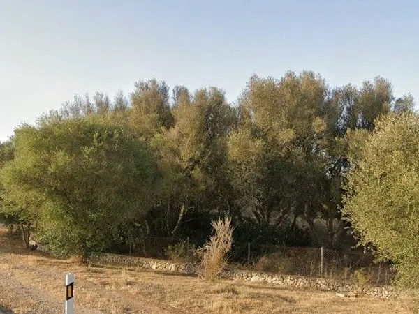 Finca rústica en Camino Diseminado es Figueral, 114 - Foto 4