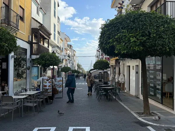 Local en Avenida Marqués del Duero, 36, San Pedro Pueblo - Foto 8