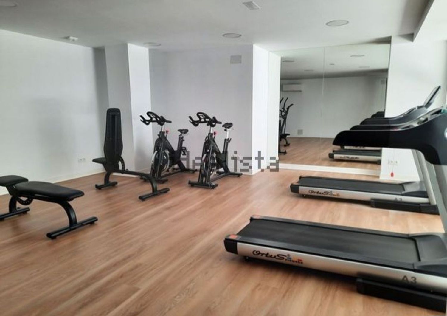 Estudio en paseo de Europa, 30 - Foto 15