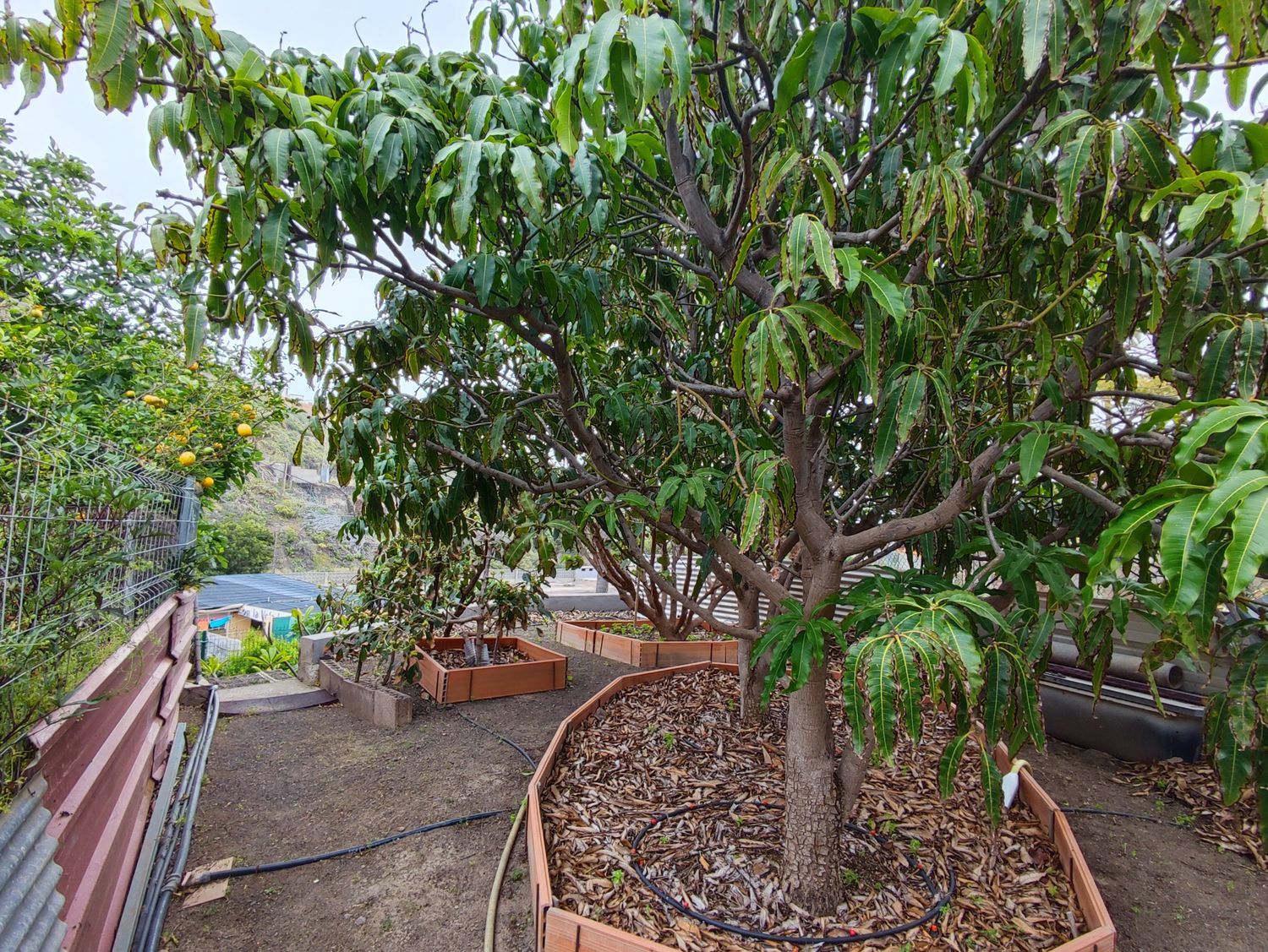 Casa o chalet independiente en Lugar El Mayorazgo, 14 - Foto 30