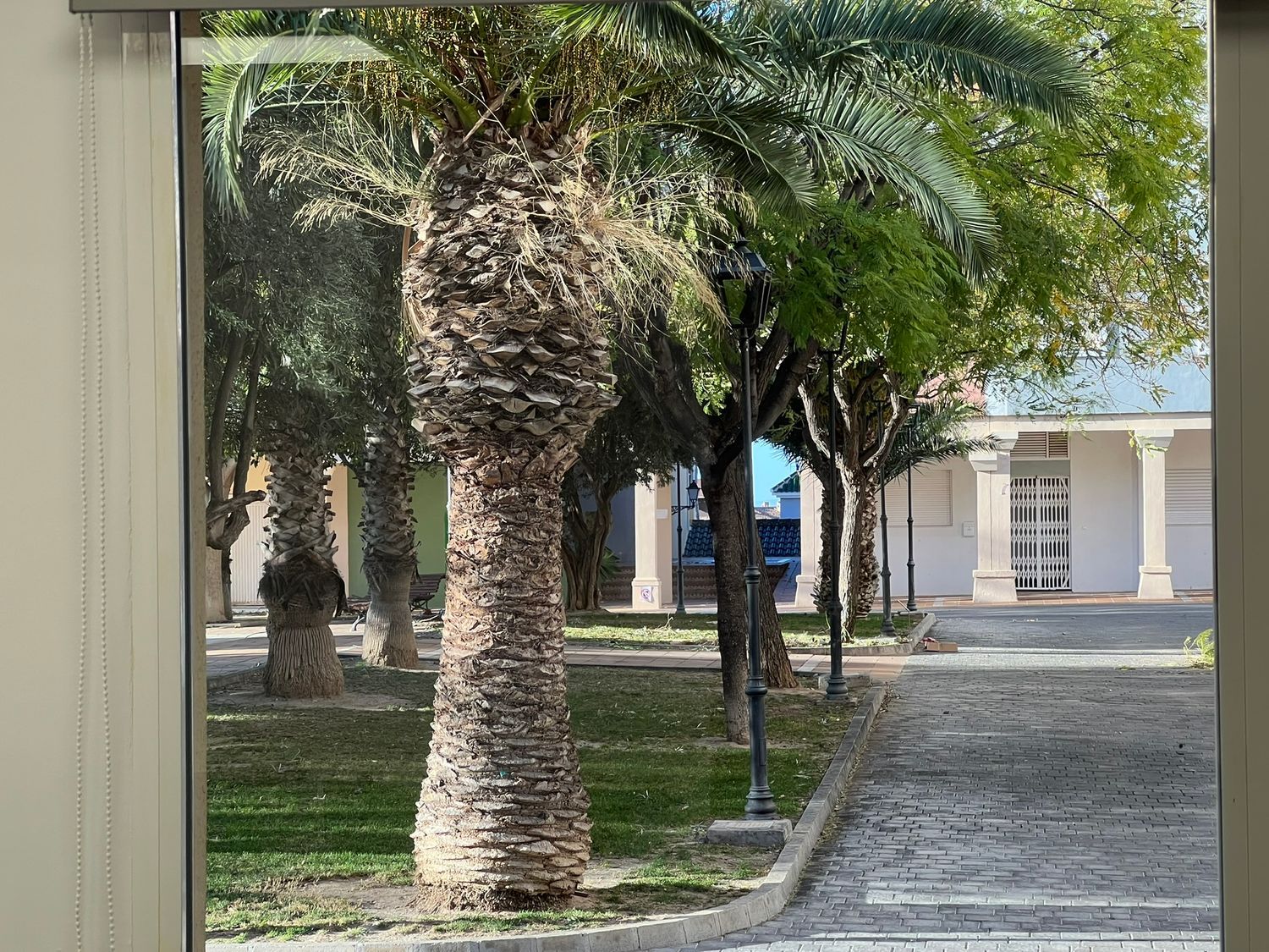 Estudio en calle de la Nit, 1 - Foto 11