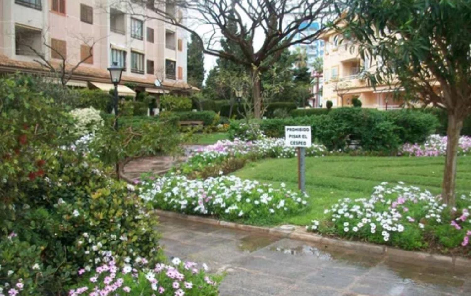 Casa o chalet independiente en Paseo marítimo la concha, 41 - Foto 5